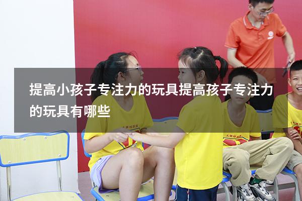 提高小孩子专注力的玩具（提高孩子专注力的玩具有哪些）