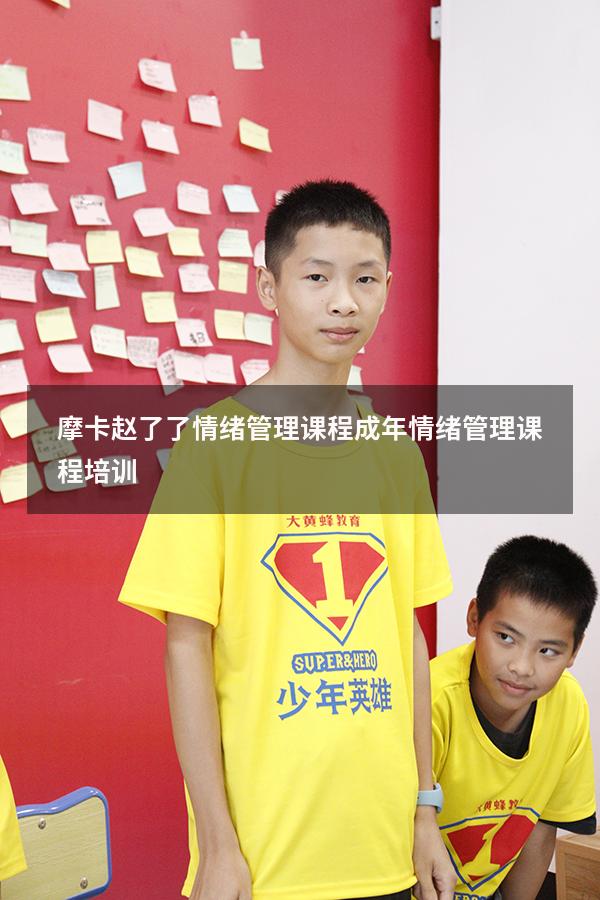 摩卡赵了了情绪管理课程（成年情绪管理课程培训）