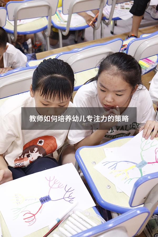 教师如何培养幼儿专注力的策略