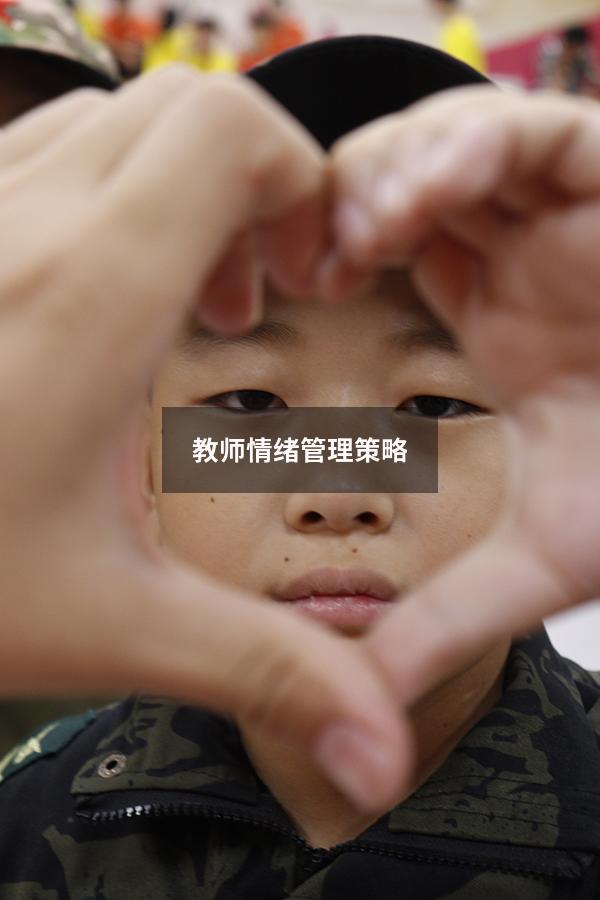 教师情绪管理策略