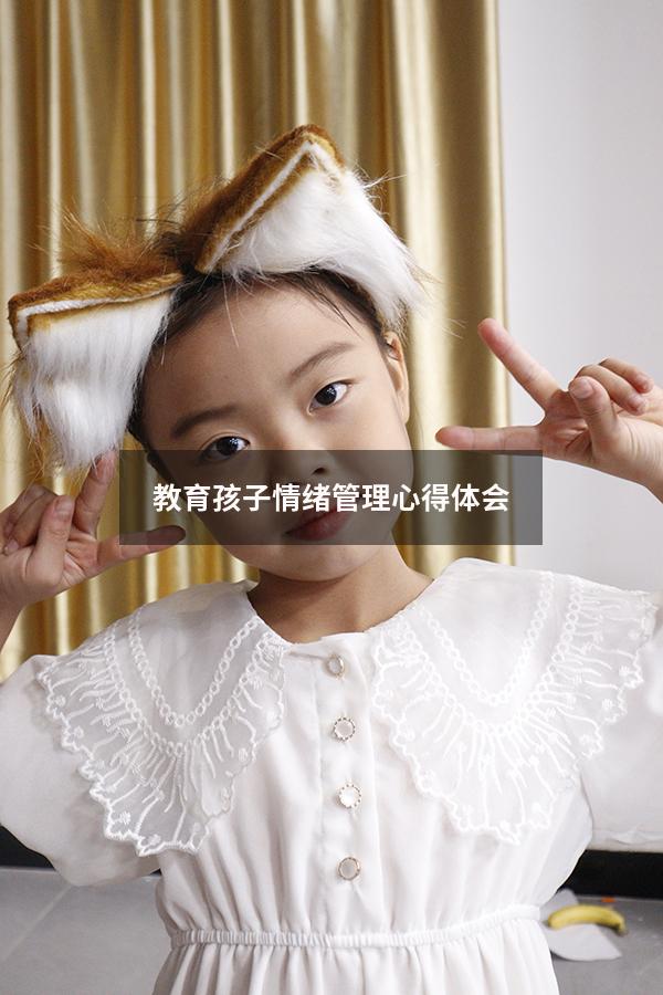 教育孩子情绪管理心得体会