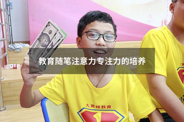 教育随笔注意力专注力的培养