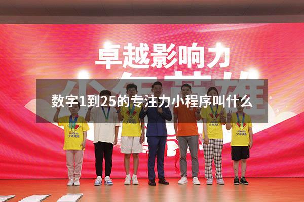 数字1到25的专注力小程序叫什么