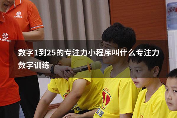 数字1到25的专注力小程序叫什么（专注力数字训练）