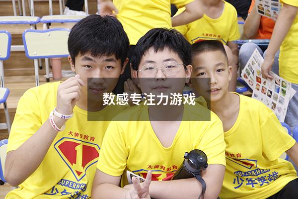 数感专注力游戏