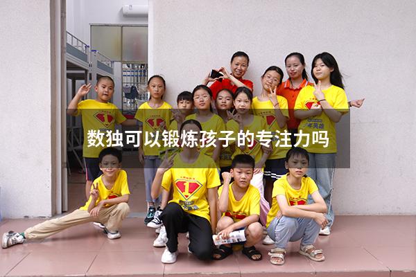 数独可以锻炼孩子的专注力吗