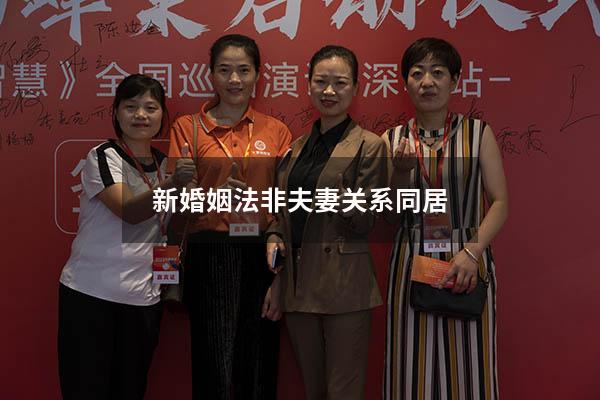 新婚姻法非夫妻关系同居