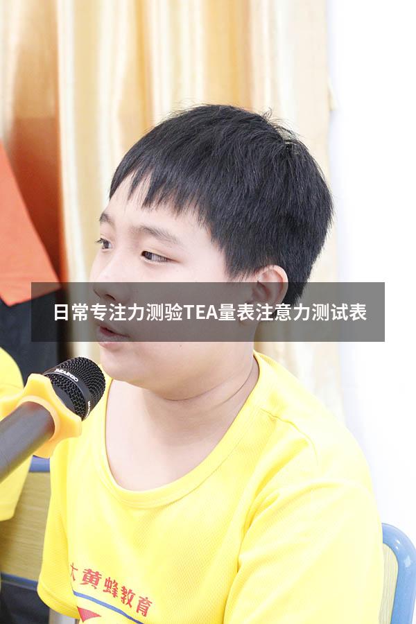 日常专注力测验TEA量表（注意力测试表）