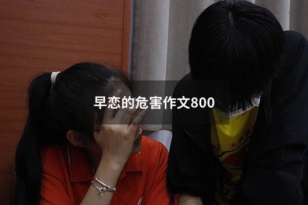 早恋的危害作文800
