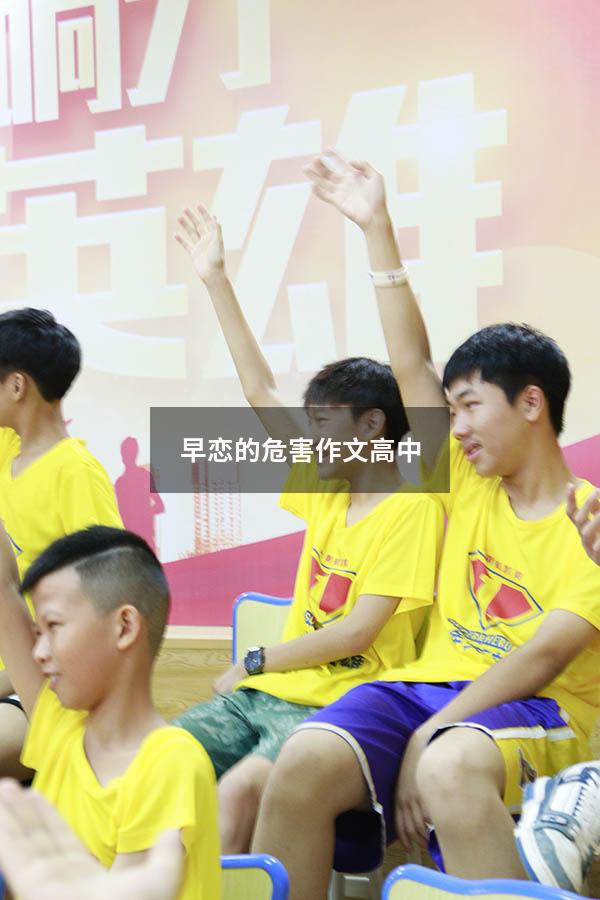 早恋的危害作文高中