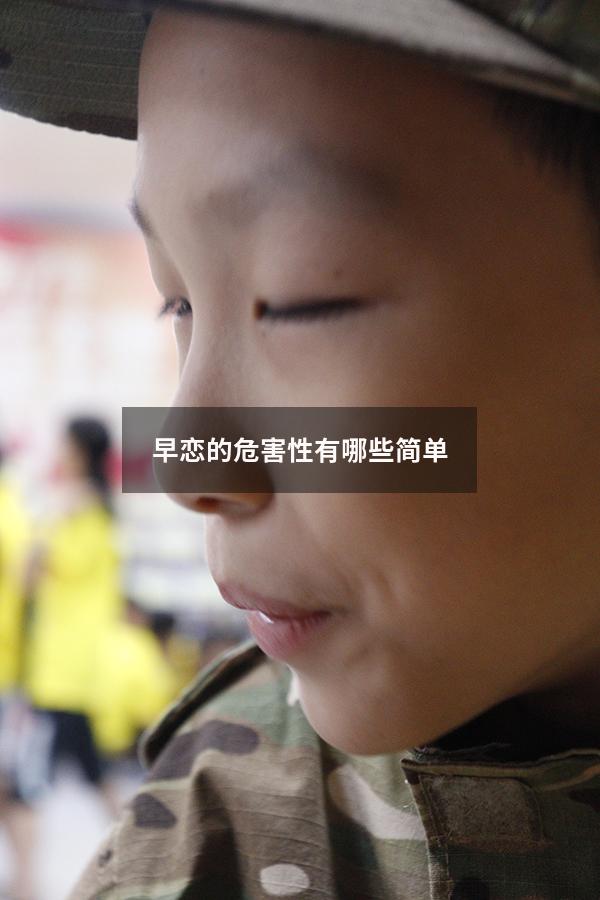 早恋的危害性有哪些简单
