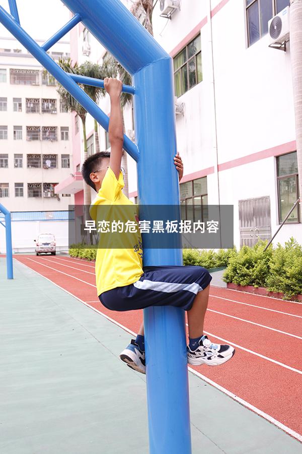 早恋的危害黑板报内容