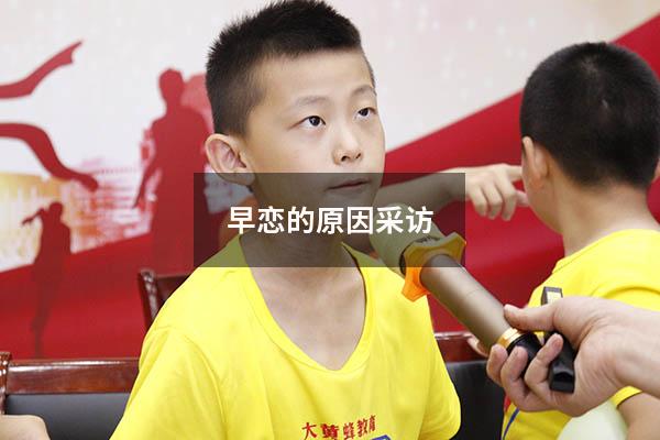 早恋的原因采访