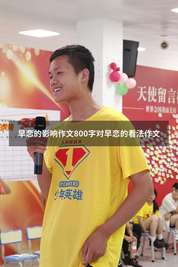 早恋的影响作文800字（对早恋的看法作文600）