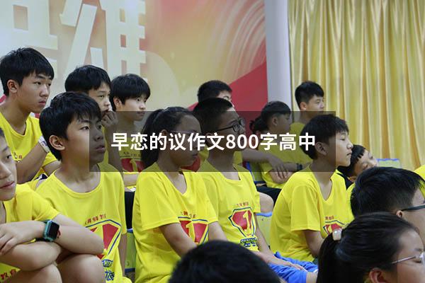 早恋的议作文800字高中