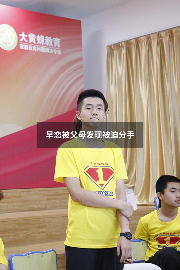 早恋被父母发现被迫分手