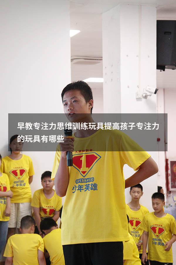 早教专注力思维训练玩具（提高孩子专注力的玩具有哪些）