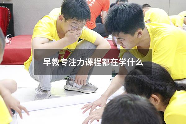 早教专注力课程都在学什么
