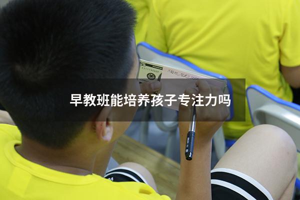 早教班能培养孩子专注力吗