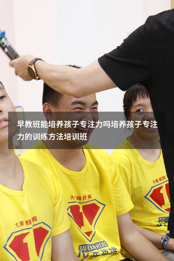 早教班能培养孩子专注力吗（培养孩子专注力的训练方法培训班）