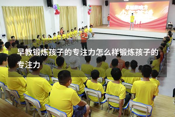 早教锻炼孩子的专注力（怎么样锻炼孩子的专注力）