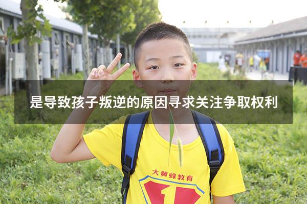 是导致孩子叛逆的原因寻求关注争取权利