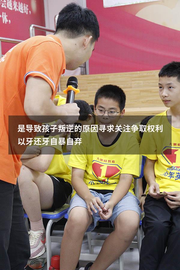 是导致孩子叛逆的原因寻求关注争取权利以牙还牙自暴自弃