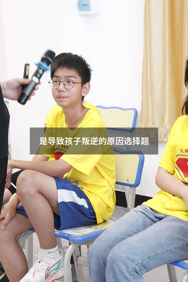 是导致孩子叛逆的原因选择题