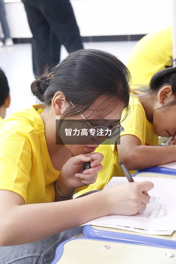 智力高专注力