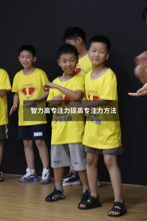 智力高专注力（提高专注力方法）