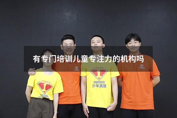 有专门培训儿童专注力的机构吗