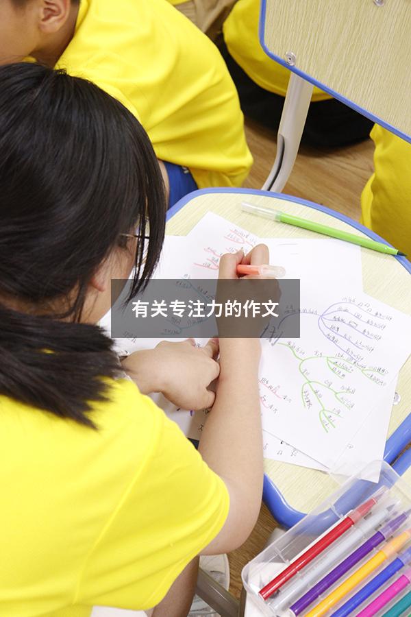 有关专注力的作文