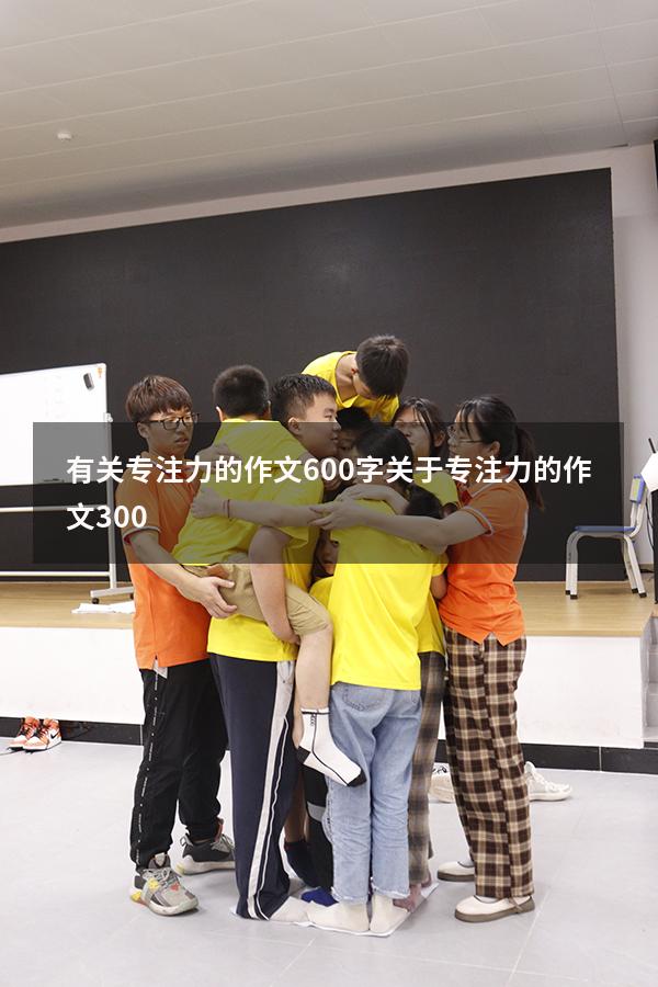 有关专注力的作文600字（关于专注力的作文300）