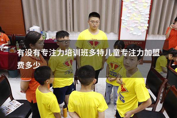 有没有专注力培训班（多特儿童专注力加盟费多少）