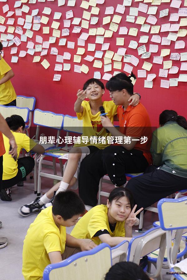 朋辈心理辅导情绪管理第一步