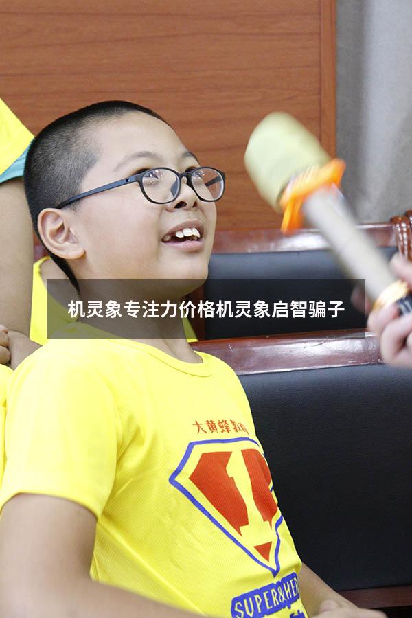 机灵象专注力价格（机灵象启智骗子）
