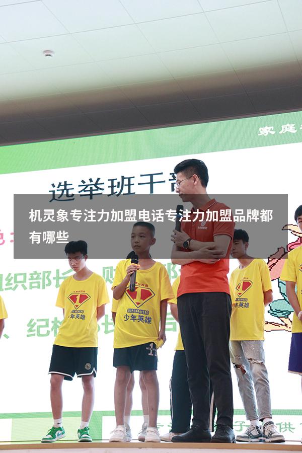 机灵象专注力加盟电话（专注力加盟品牌都有哪些）