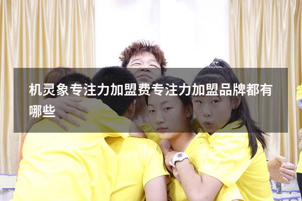 机灵象专注力加盟费（专注力加盟品牌都有哪些）
