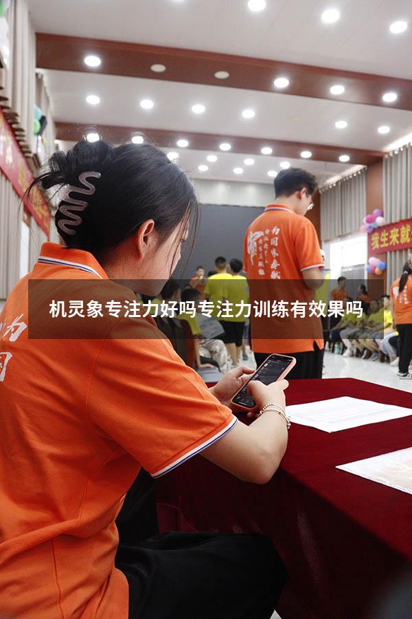 机灵象专注力好吗（专注力训练有效果吗）