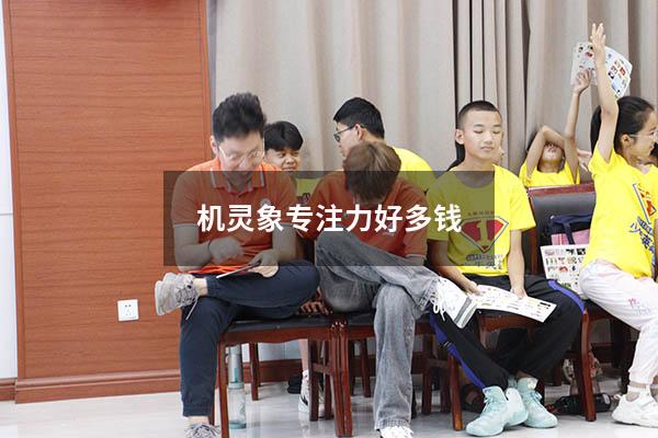 机灵象专注力好多钱