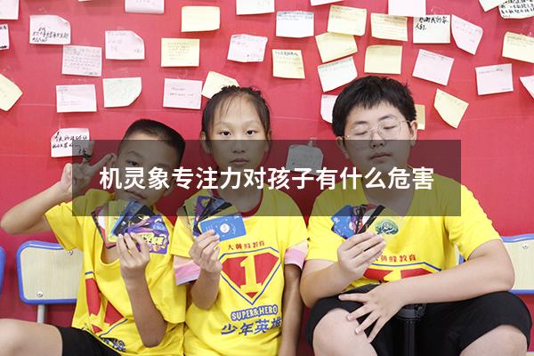 机灵象专注力对孩子有什么危害