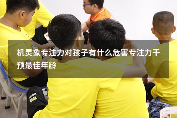 机灵象专注力对孩子有什么危害（专注力干预最佳年龄）