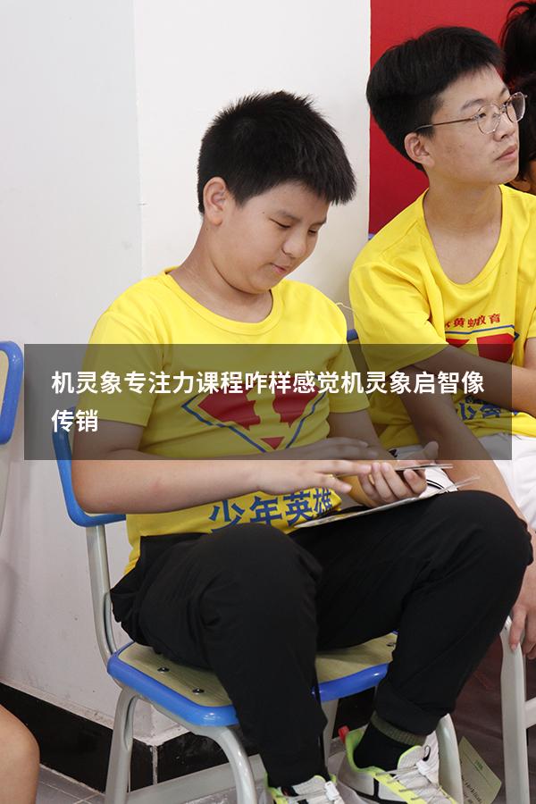 机灵象专注力课程咋样（感觉机灵象启智像传销）