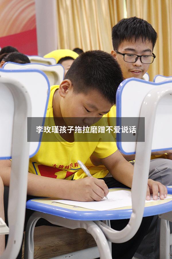 李玫瑾孩子拖拉磨蹭不爱说话