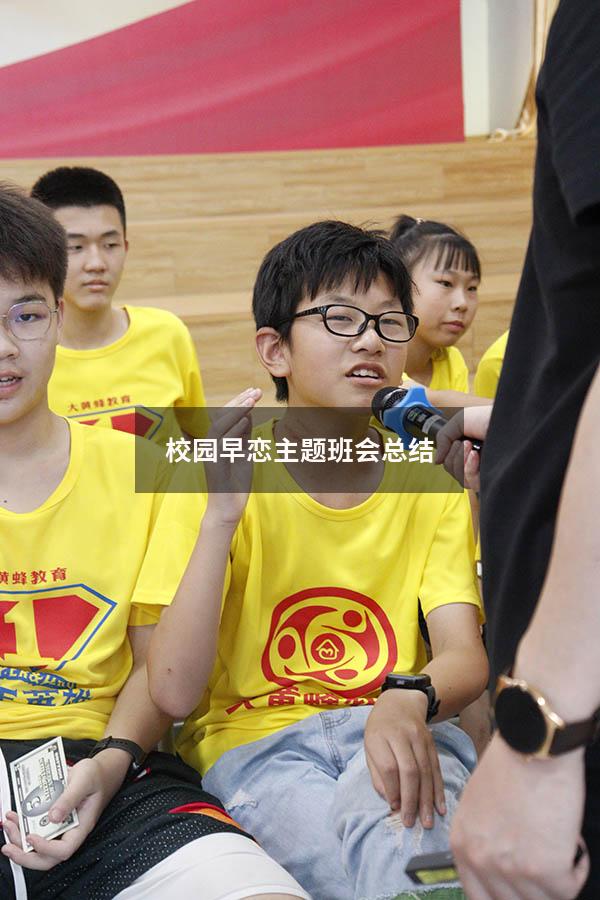 校园早恋主题班会总结