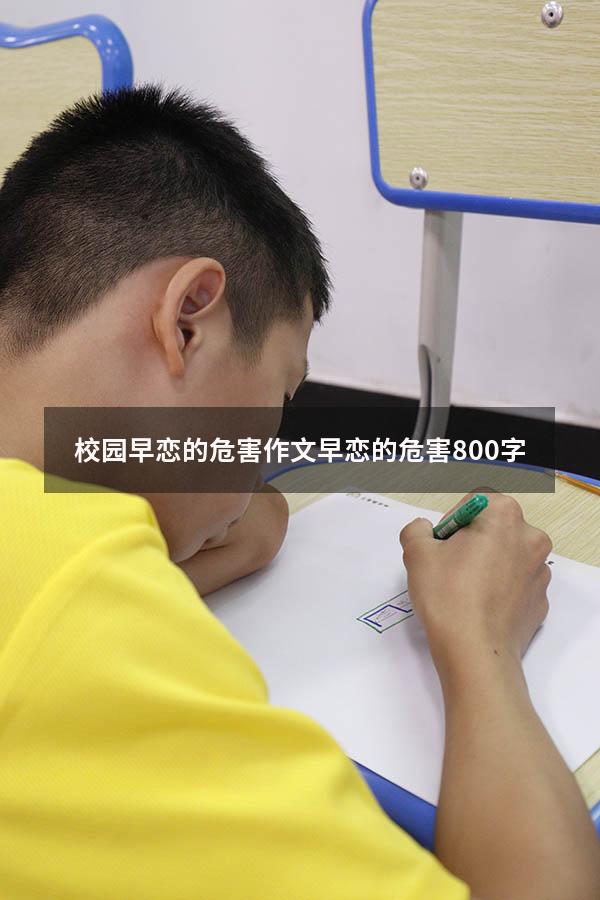校园早恋的危害作文（早恋的危害800字）
