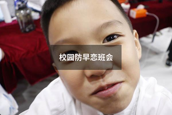校园防早恋班会