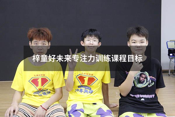 梓童好未来专注力训练课程目标