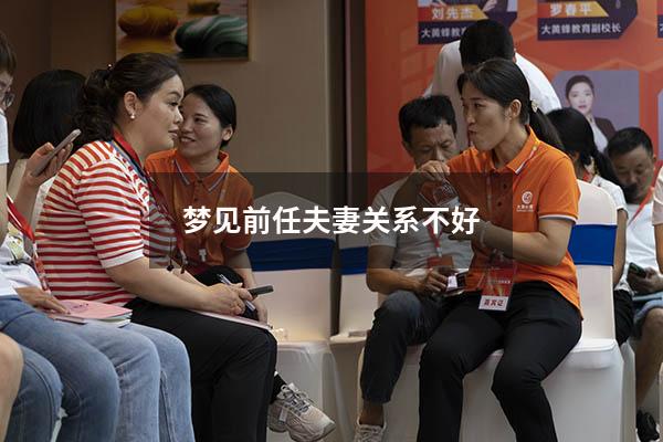 梦见前任夫妻关系不好