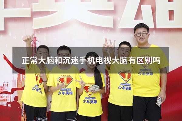 正常大脑和沉迷手机电视大脑有区别吗